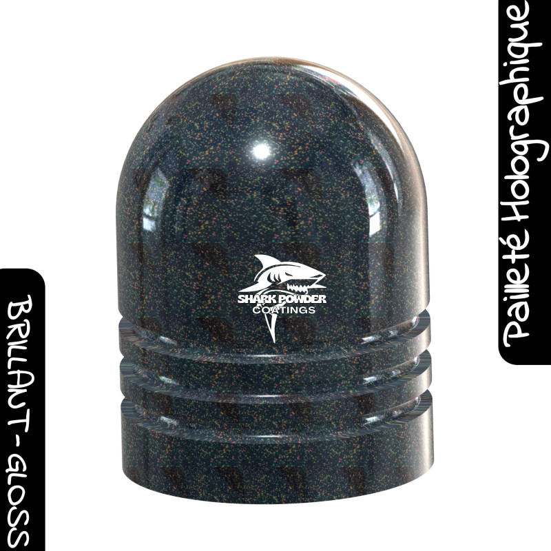 Poudre Polyester Vernis Incolore Pailleté Gris Holographique Brillant N°01