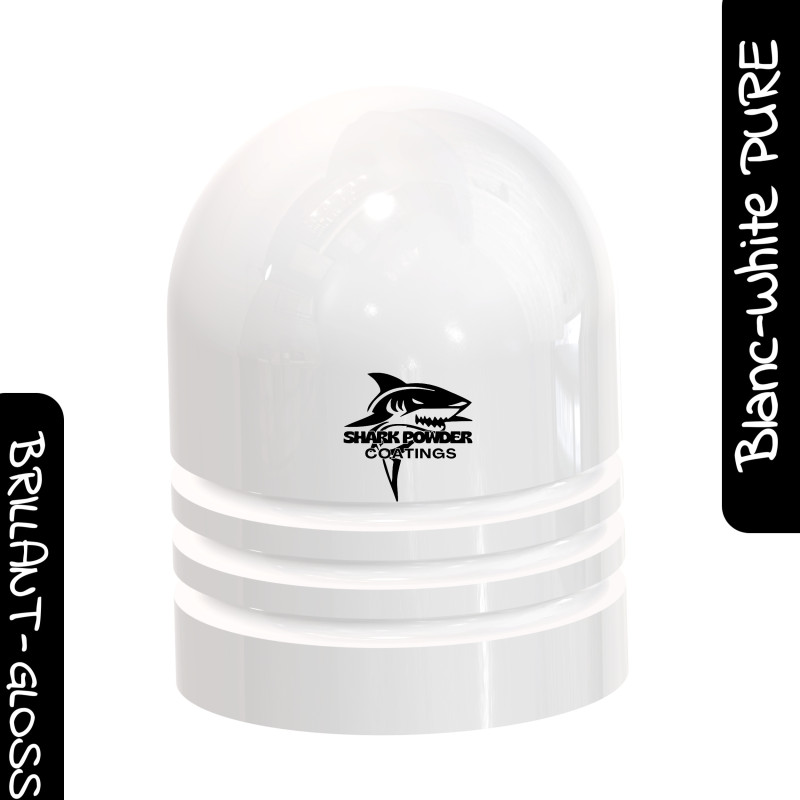 Poudre Polyester Blanc Pure Brillant
