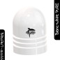 Poudre Polyester Blanc Pure Brillant