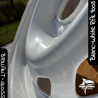 Poudre Polyester Blanc Pure Brillant - vue 3