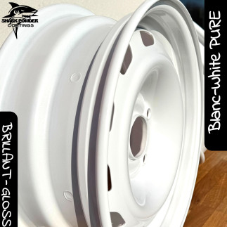 Poudre Polyester Blanc Pure Brillant
