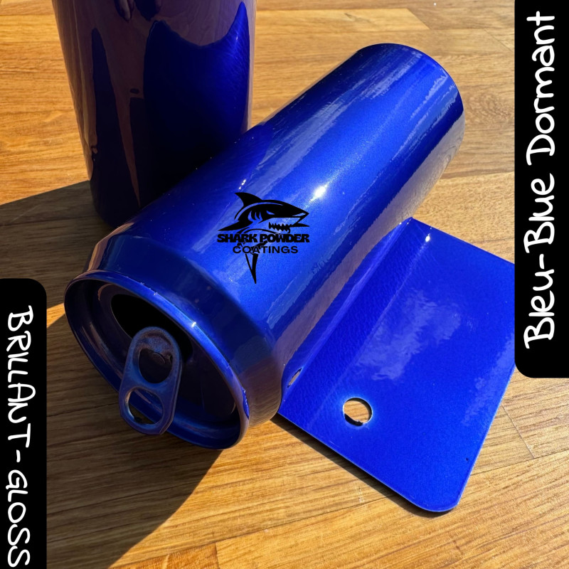 SPECIAL PACK – Dormant Blue Polyester Powder + Clear Coat | Shark ...
