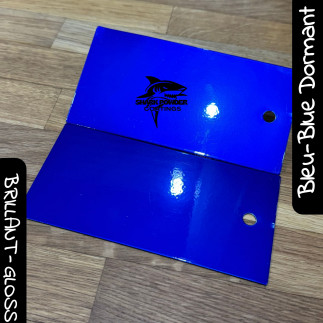 SPECIAL PACK – Dormant Blue Polyester Powder + Clear Coat | Shark Powder Coatings