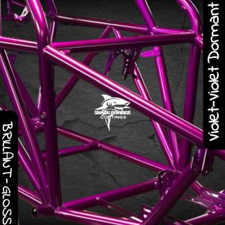 SPECIAL PACK – Dormant Violet + Clear Coat | Shark Powder Coatings