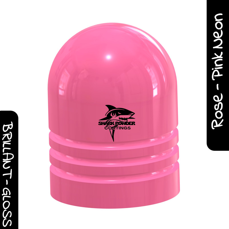 Poudre Polyester Pink Néon Poudre Polyester Pink Néon